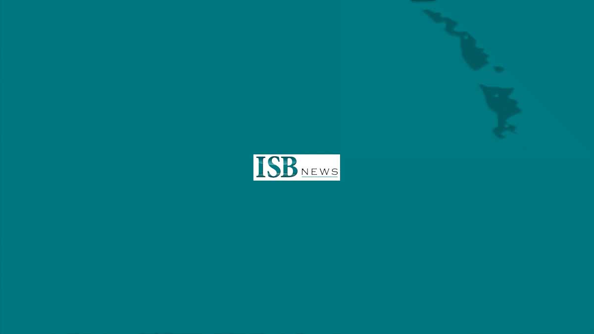 Logotyp ISB news