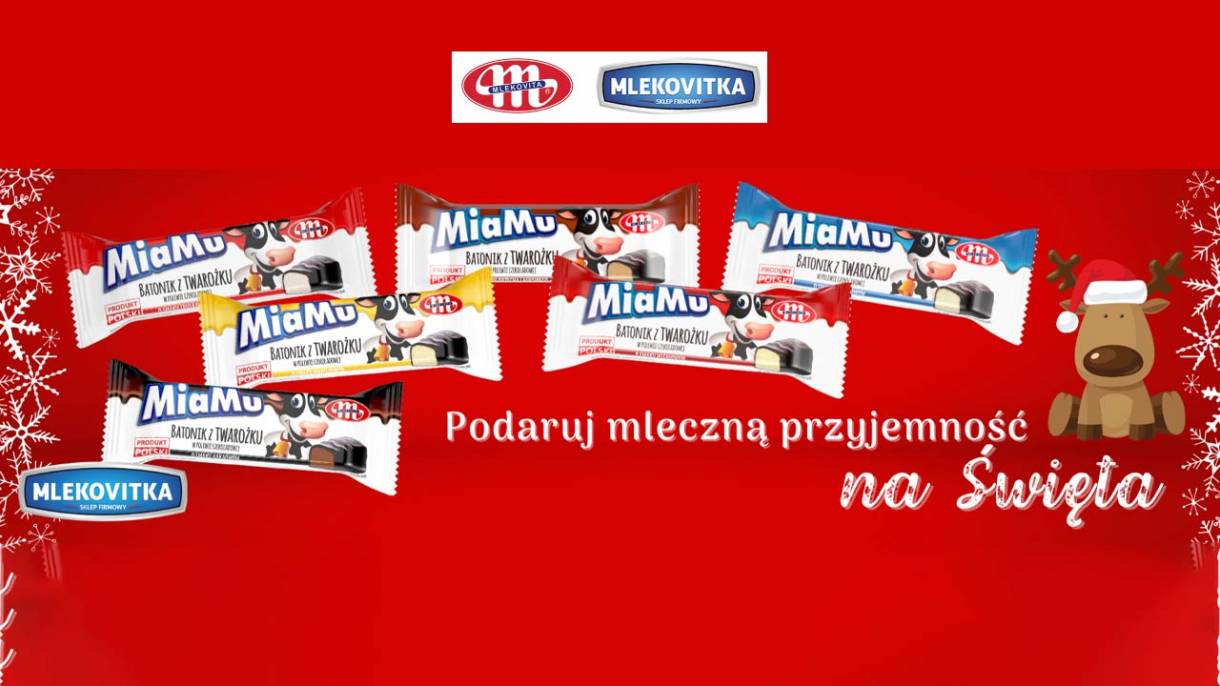 Świąteczny sernik z polskiego sera od MLEKOVITY