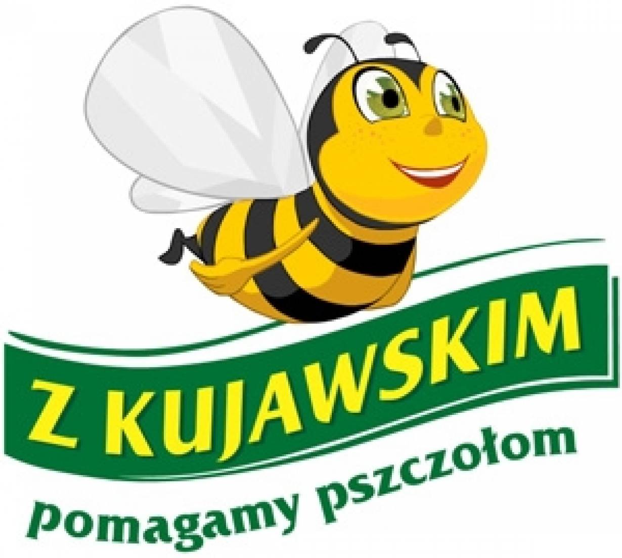 Pomóż pszczołom razem z Kujawskim