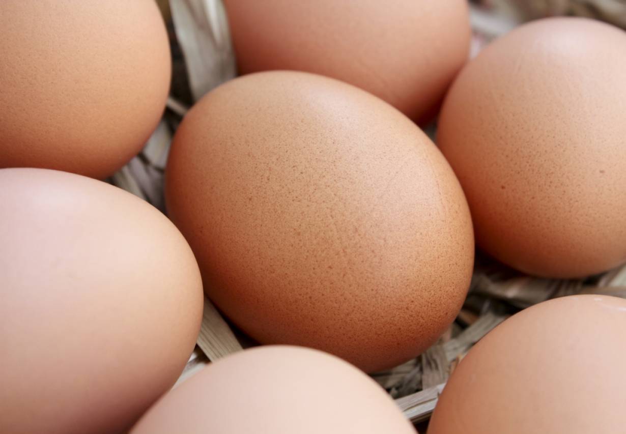 Polska w czołówce producentów i eksporterów jaj w Europie